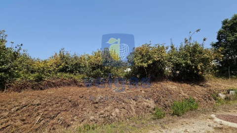 Terreno para Venda em Gaeiras