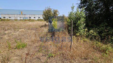 Terreno para Venda em Gaeiras