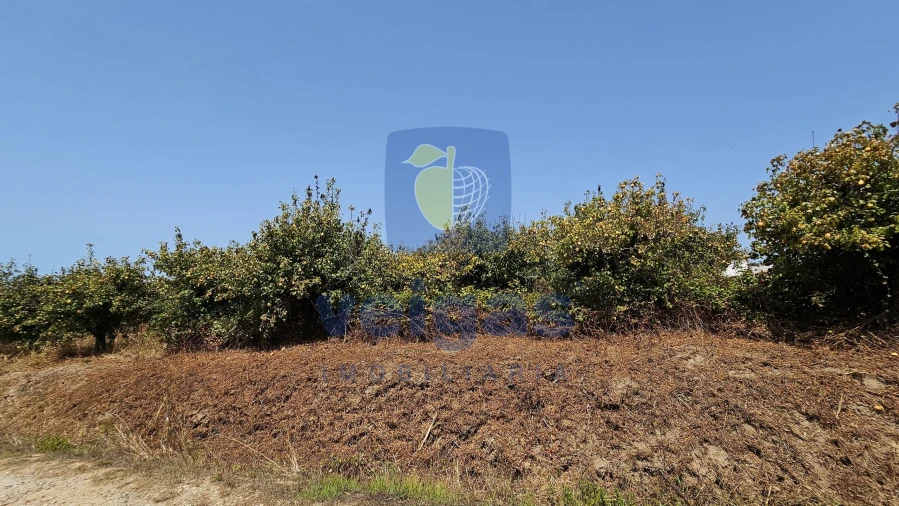 Terreno para Venda em Gaeiras Foto 19
