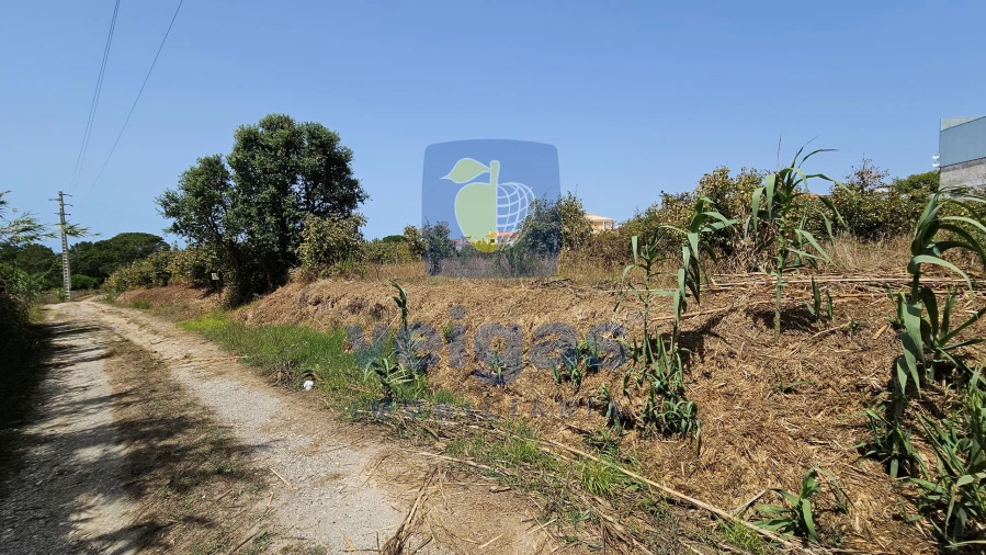 Terreno para Venda em Gaeiras Foto 4