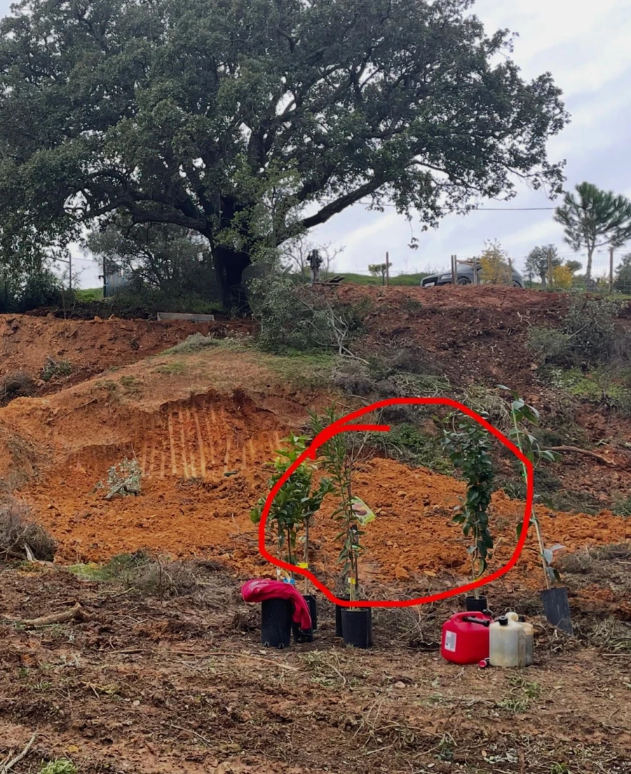 Terreno para Venda em Lagoa e Carvoeiro Foto 6