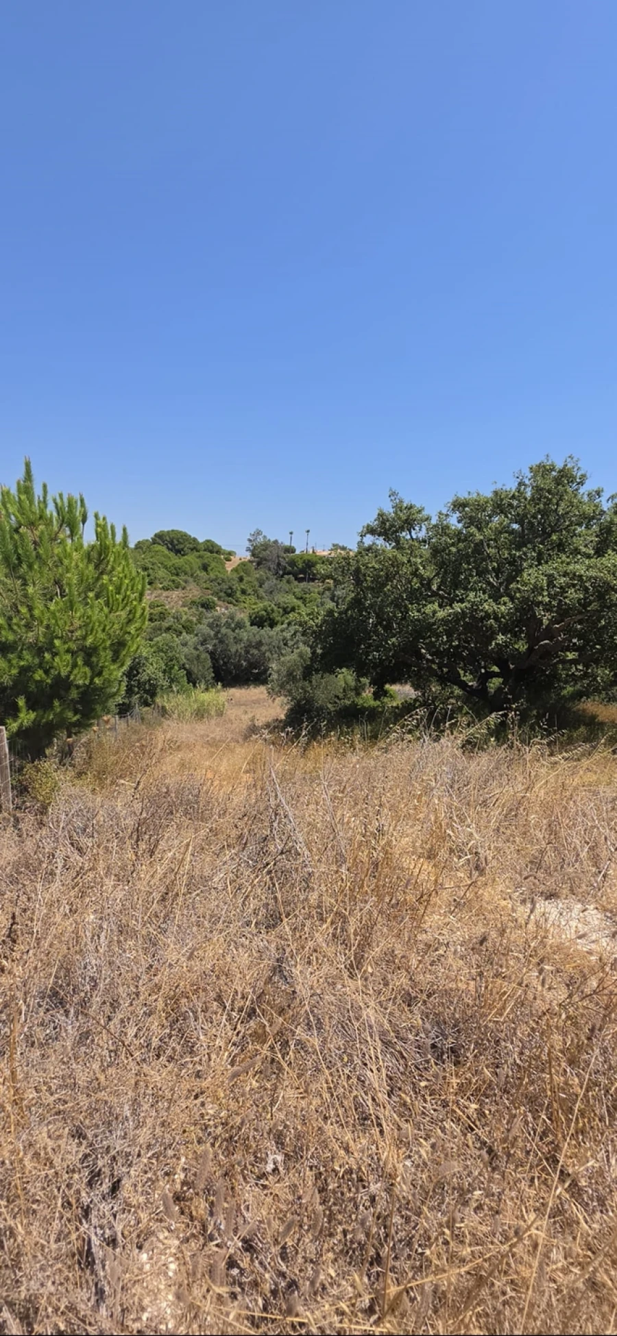 Terreno para Venda em Lagoa e Carvoeiro Foto 3