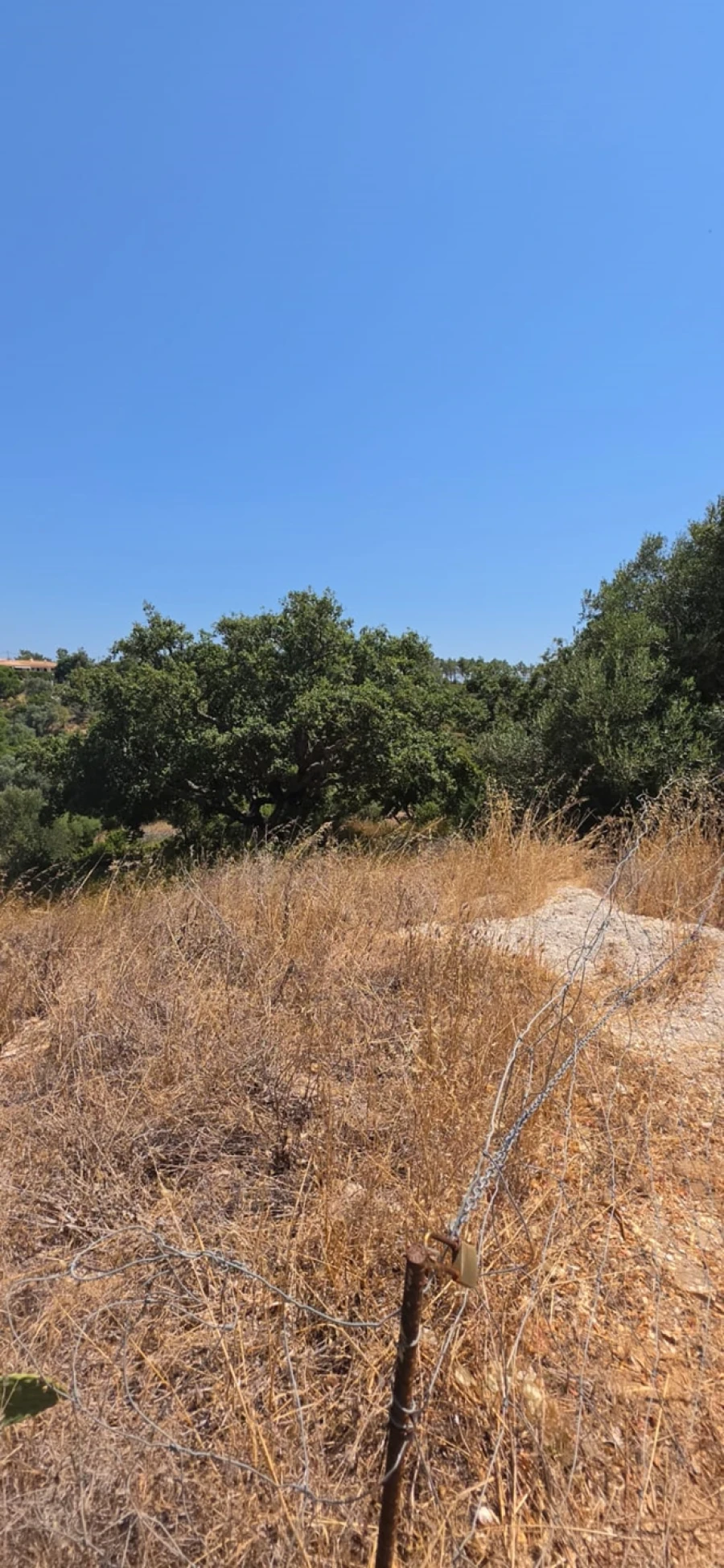 Terreno para Venda em Lagoa e Carvoeiro Foto 2