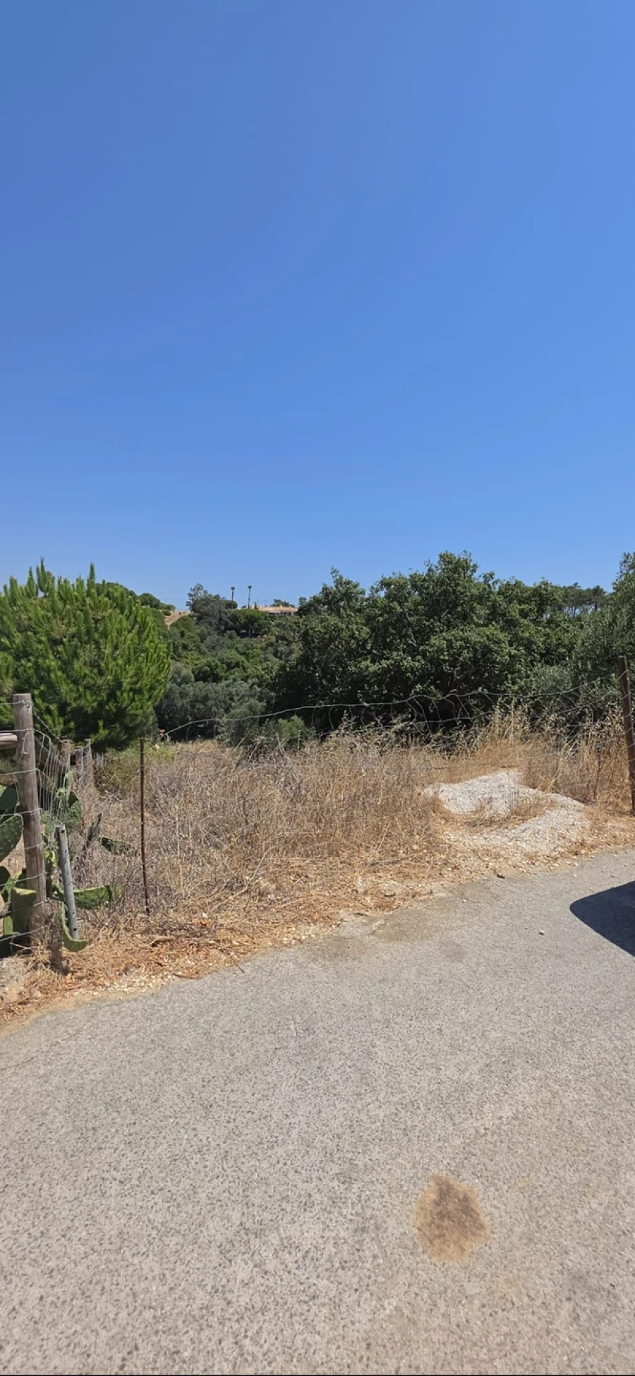 Terreno para Venda em Lagoa e Carvoeiro Foto 5