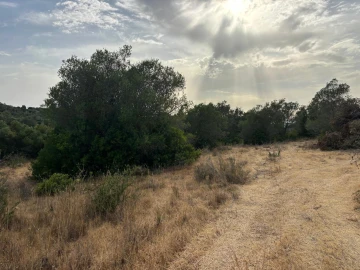Moradia T3 para Venda em Loule (São Clemente)