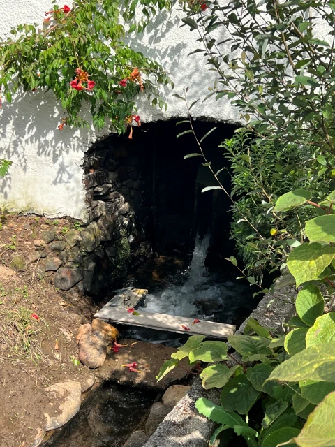 Moradia T3 para Venda em Semide e Rio Vide