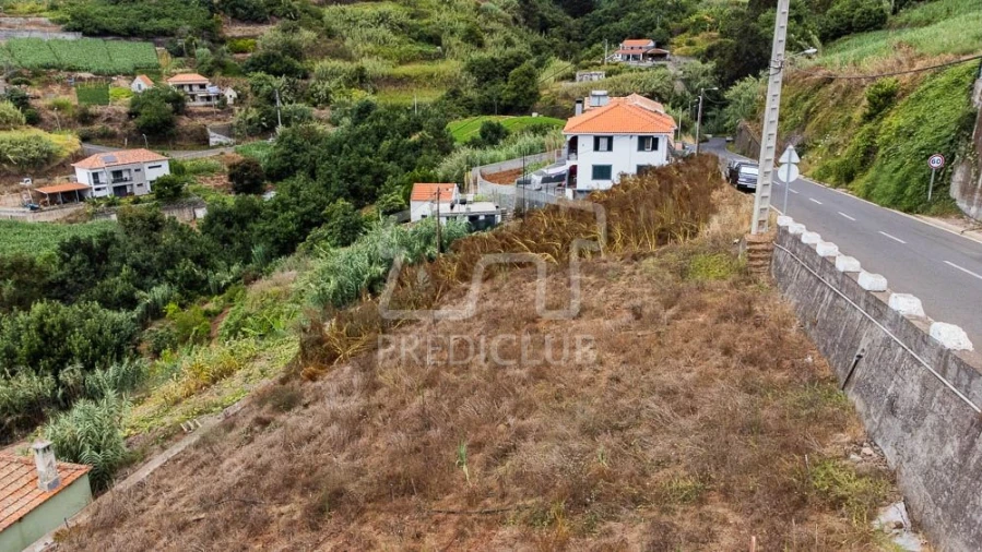 Terreno para Venda em Ponta do Sol Foto 3