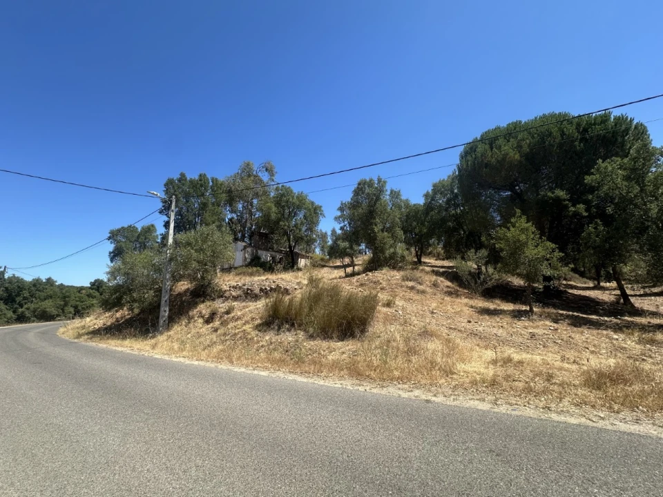 Quinta para Venda em Abrantes (São Vicente e São João) e Alferrarede Foto 3