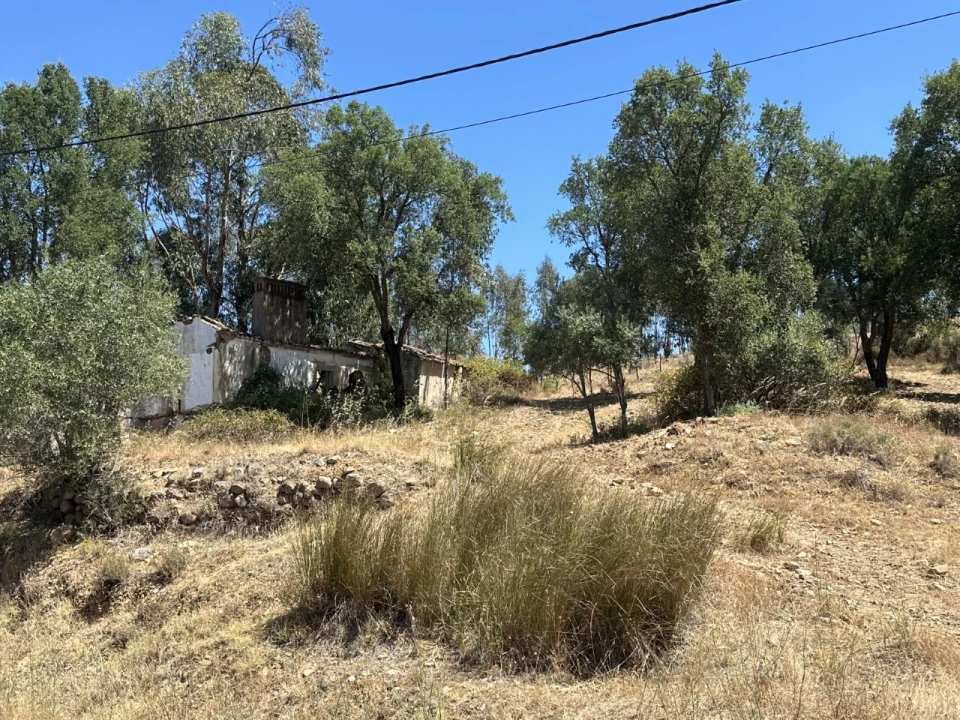 Quinta para Venda em Abrantes (São Vicente e São João) e Alferrarede Foto 1