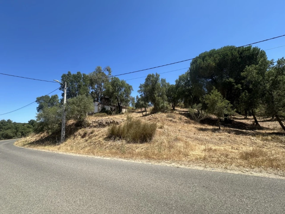 Quinta para Venda em Abrantes (São Vicente e São João) e Alferrarede Foto 4