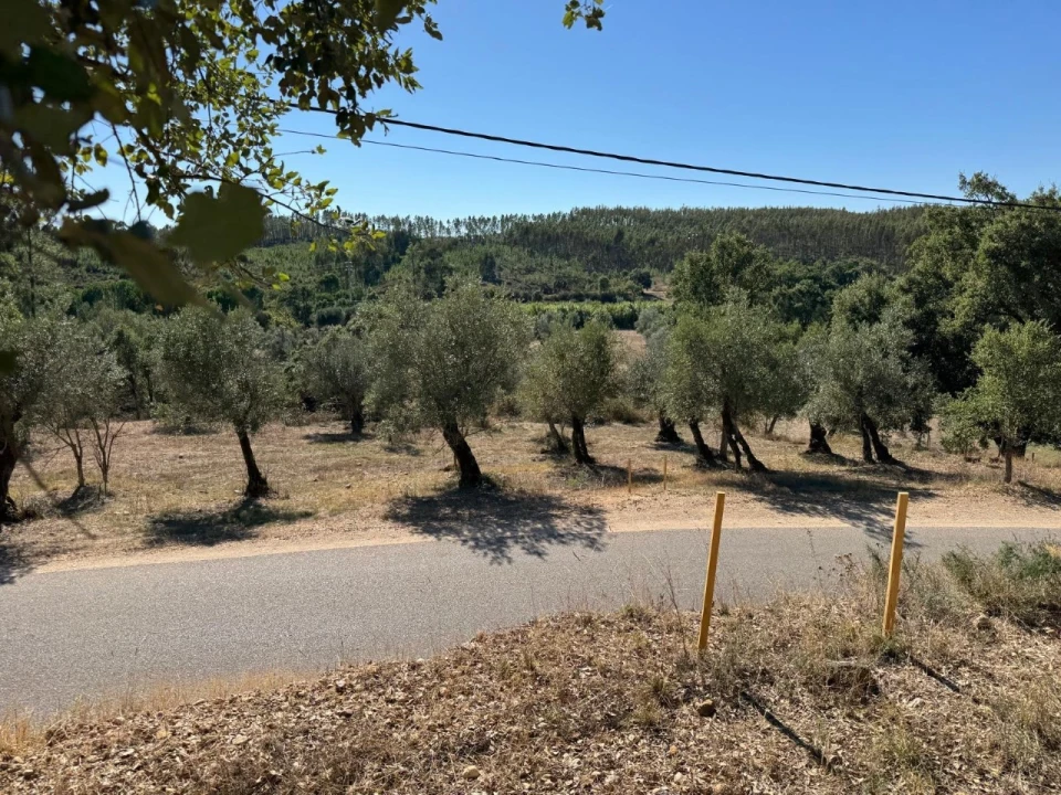 Quinta T5 para Venda em Abrantes (São Vicente e São João) e Alferrarede Foto 4