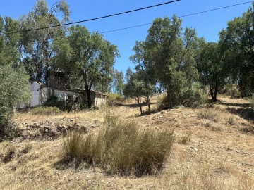 Quinta para Venda em Abrantes (São Vicente e São João) e Alferrarede