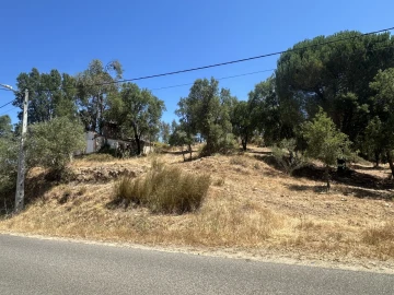 Quinta para Venda em Abrantes (São Vicente e São João) e Alferrarede