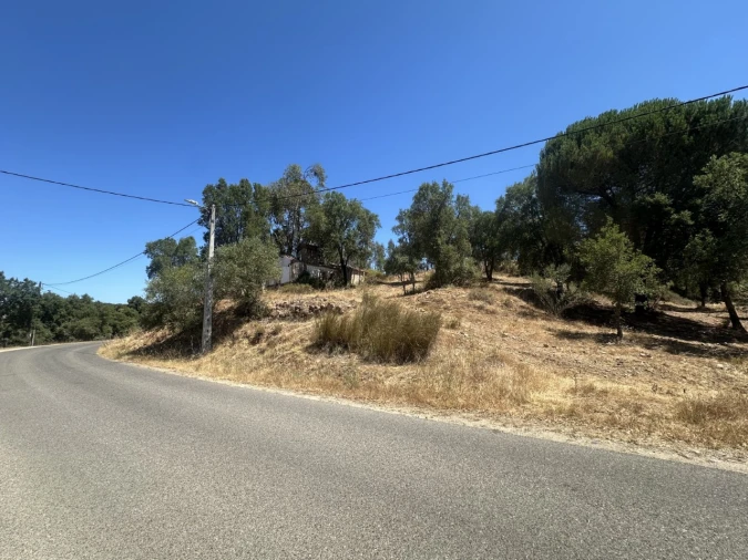 Quinta para Venda em Abrantes (São Vicente e São João) e Alferrarede Foto 2