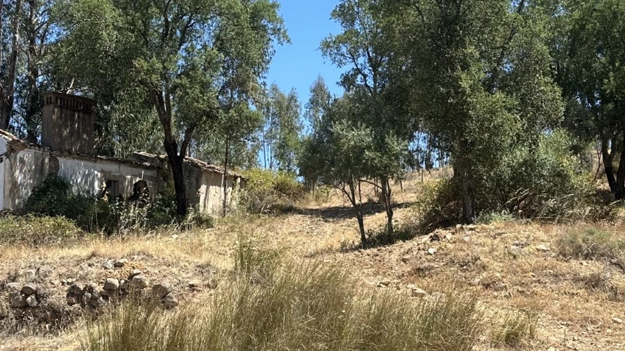 Quinta T5 para Venda em Abrantes (São Vicente e São João) e Alferrarede