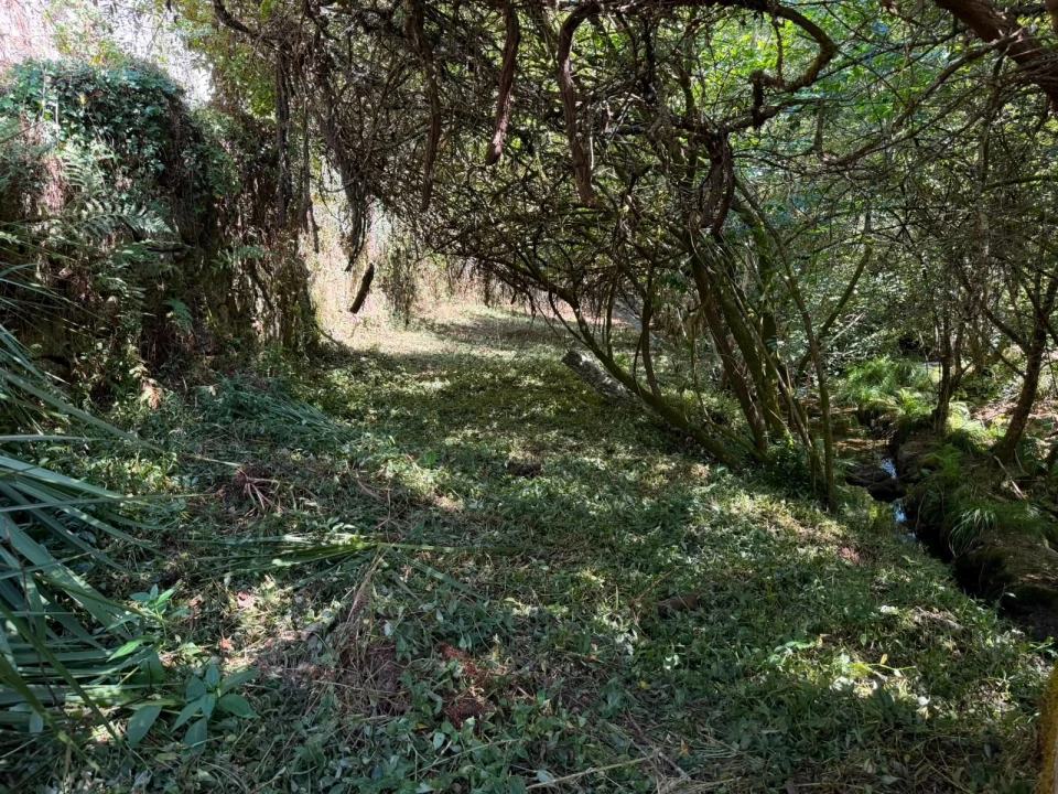 Quinta T8 para Venda em Quinchães Foto 14