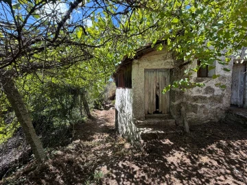 Quinta T8 para Venda em Quinchães