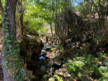 Quinta T8 para Venda em Quinchães