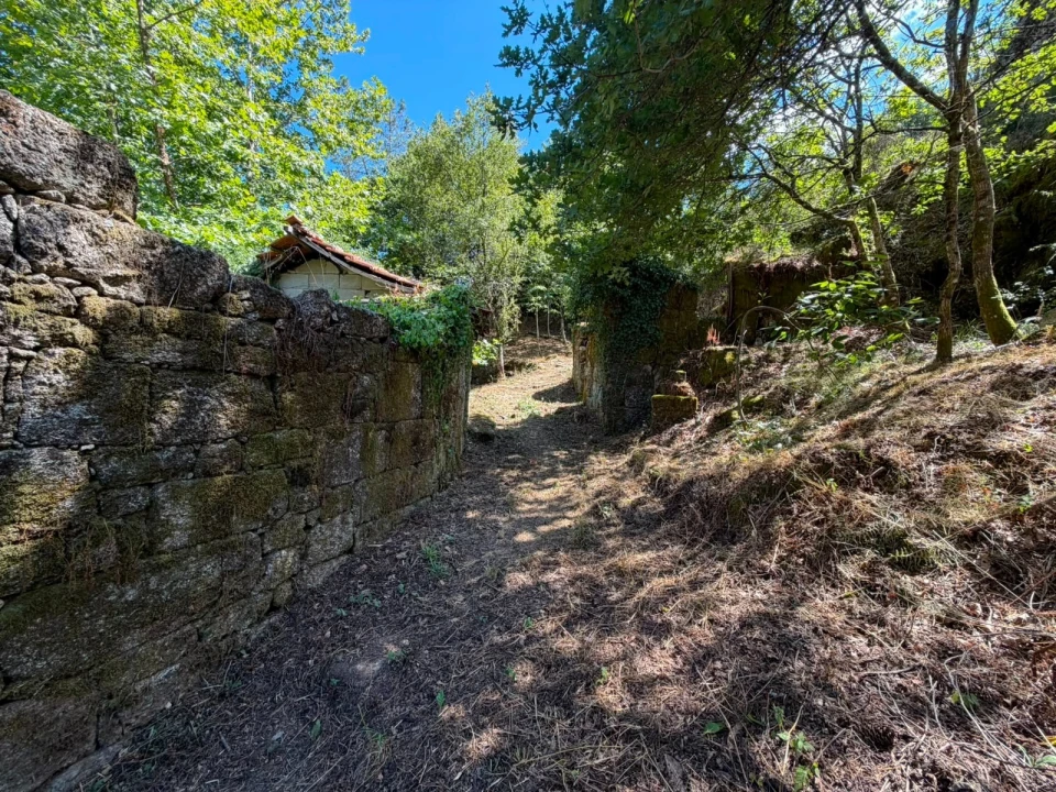 Quinta T8 para Venda em Quinchães Foto 19