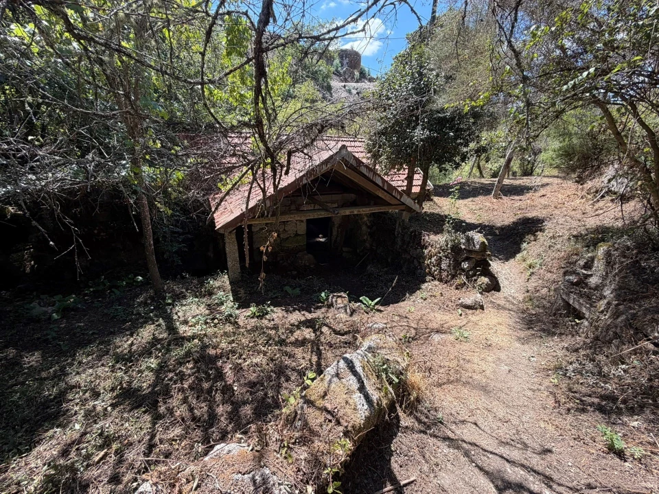 Quinta T8 para Venda em Quinchães Foto 21