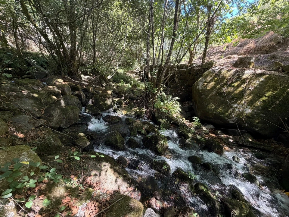 Quinta T8 para Venda em Quinchães Foto 22