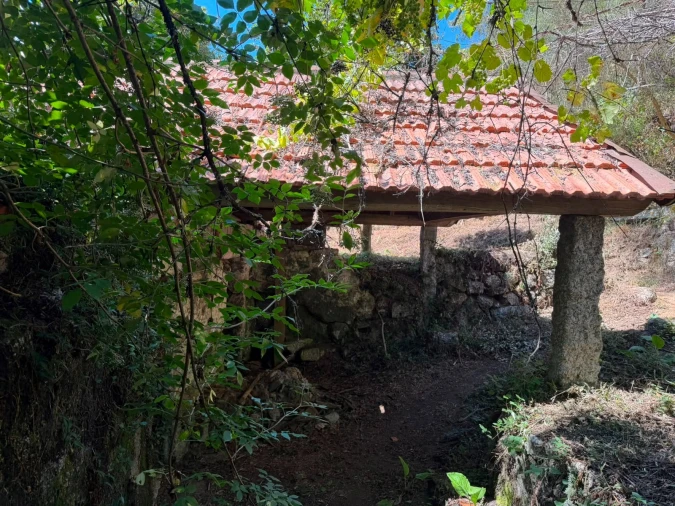 Quinta T8 para Venda em Quinchães Foto 27