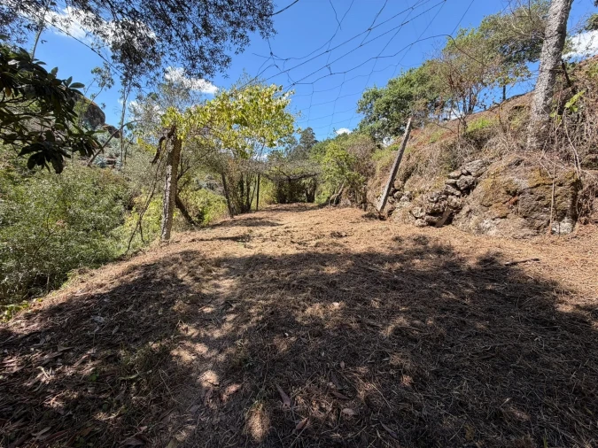Quinta T8 para Venda em Quinchães Foto 24