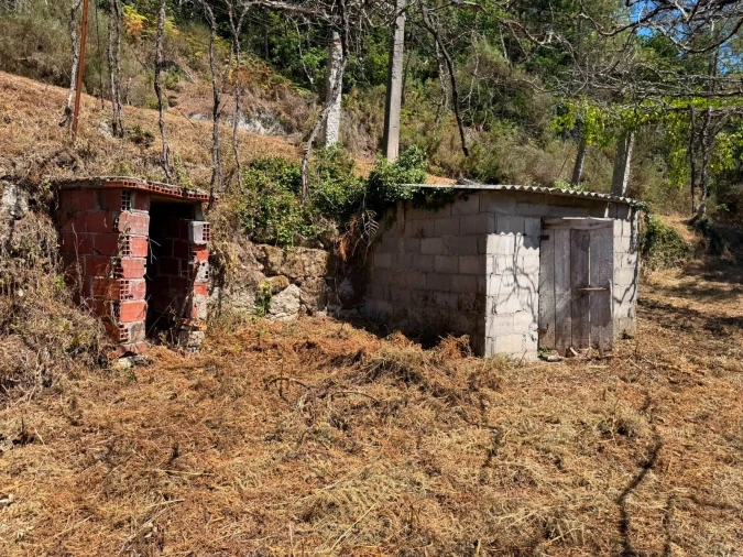 Quinta T8 para Venda em Quinchães Foto 13