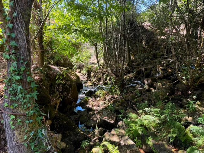 Quinta T8 para Venda em Quinchães Foto 17