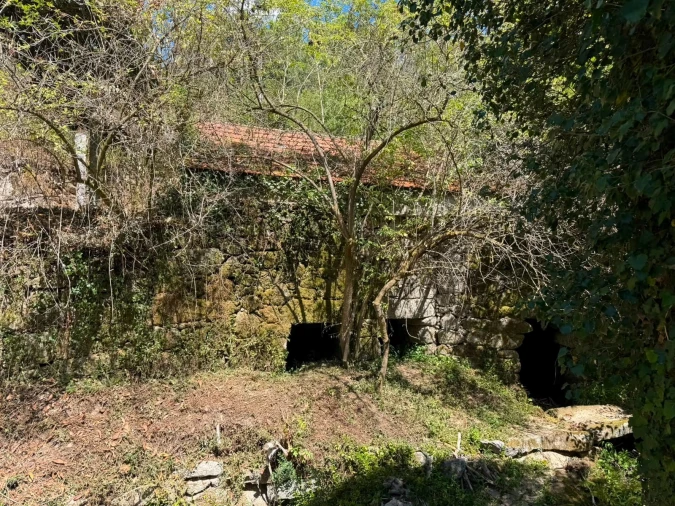 Quinta T8 para Venda em Quinchães Foto 15