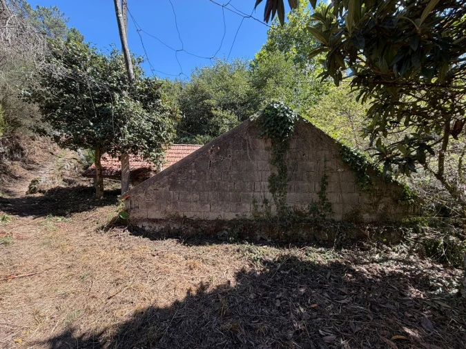 Quinta T8 para Venda em Quinchães Foto 26