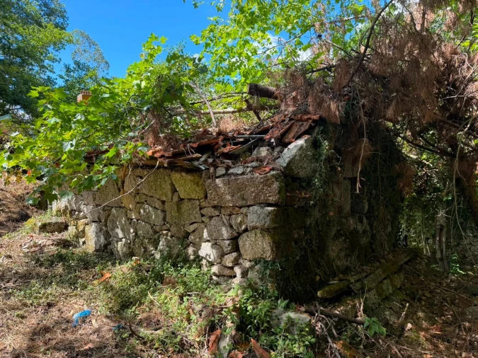 Quinta T8 para Venda em Quinchães Foto 18