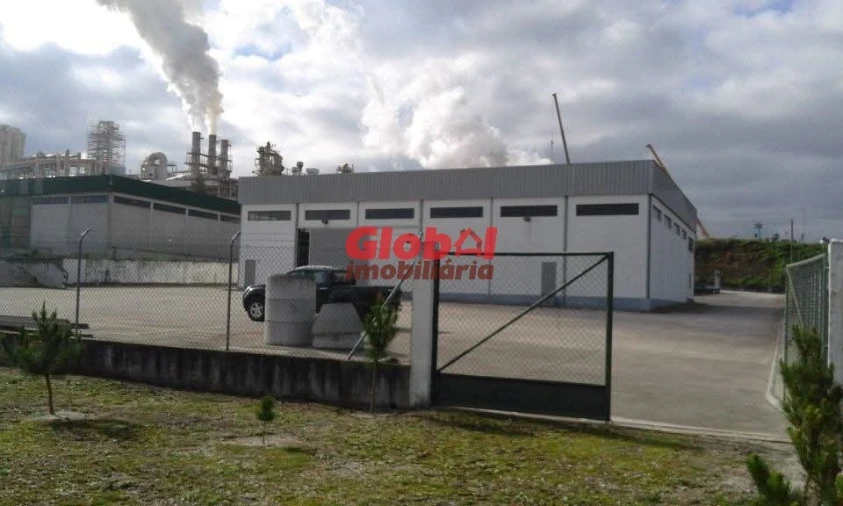 Armazém para Venda em Nelas Foto 6