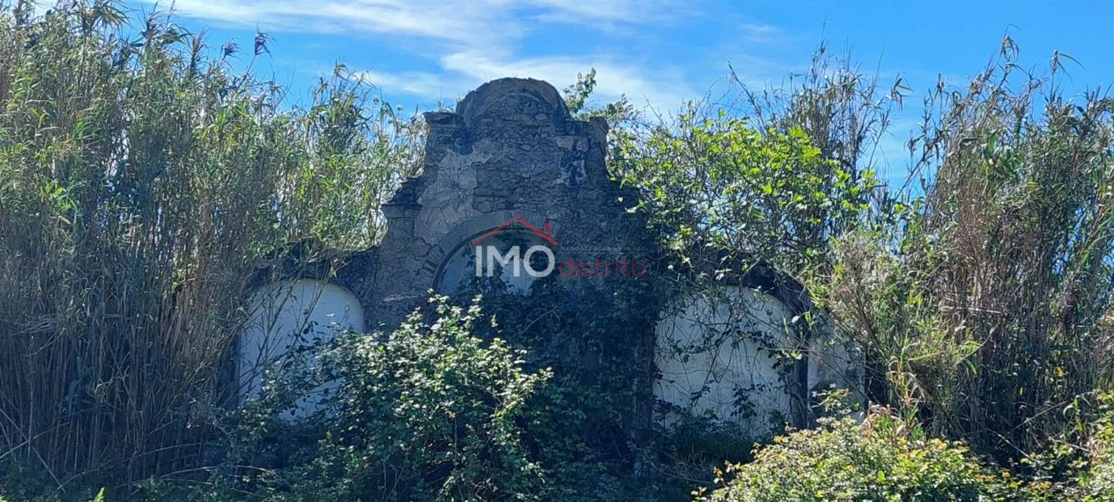 Quinta T0 para Venda em Gafete Foto 18