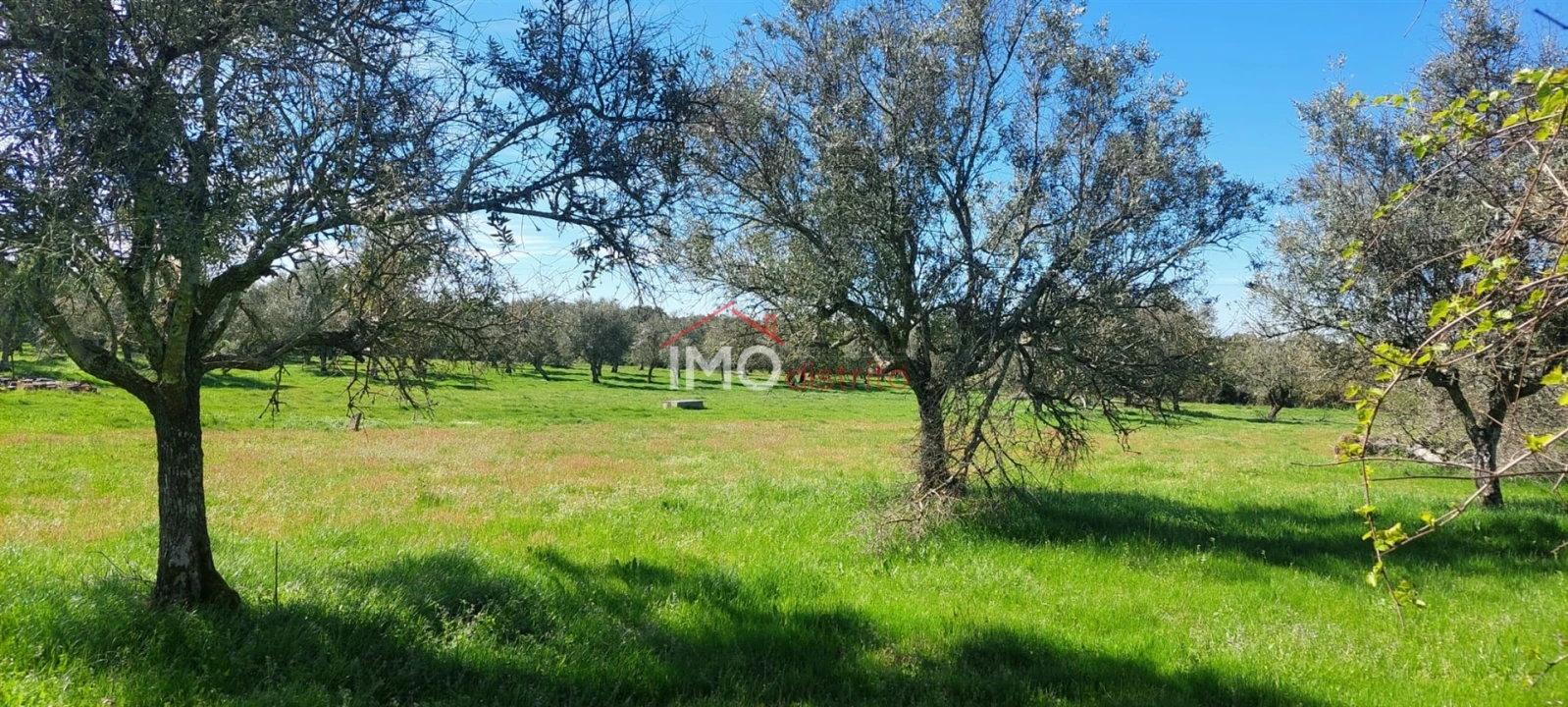 Quinta T0 para Venda em Gafete Foto 48