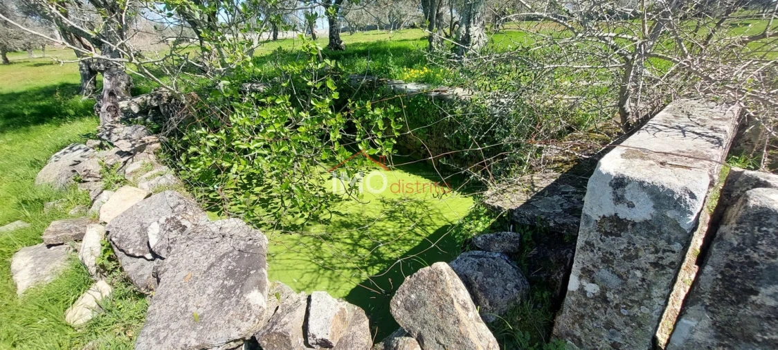 Quinta T0 para Venda em Gafete Foto 7