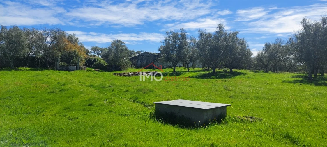 Quinta T0 para Venda em Gafete Foto 4