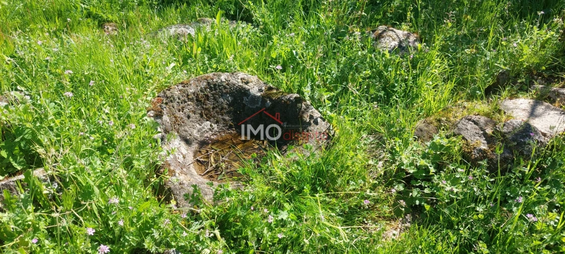 Quinta T0 para Venda em Gafete Foto 34