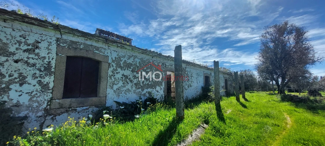 Quinta T0 para Venda em Gafete Foto 37