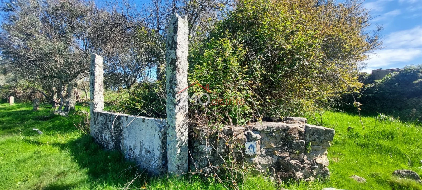 Quinta T0 para Venda em Gafete Foto 40
