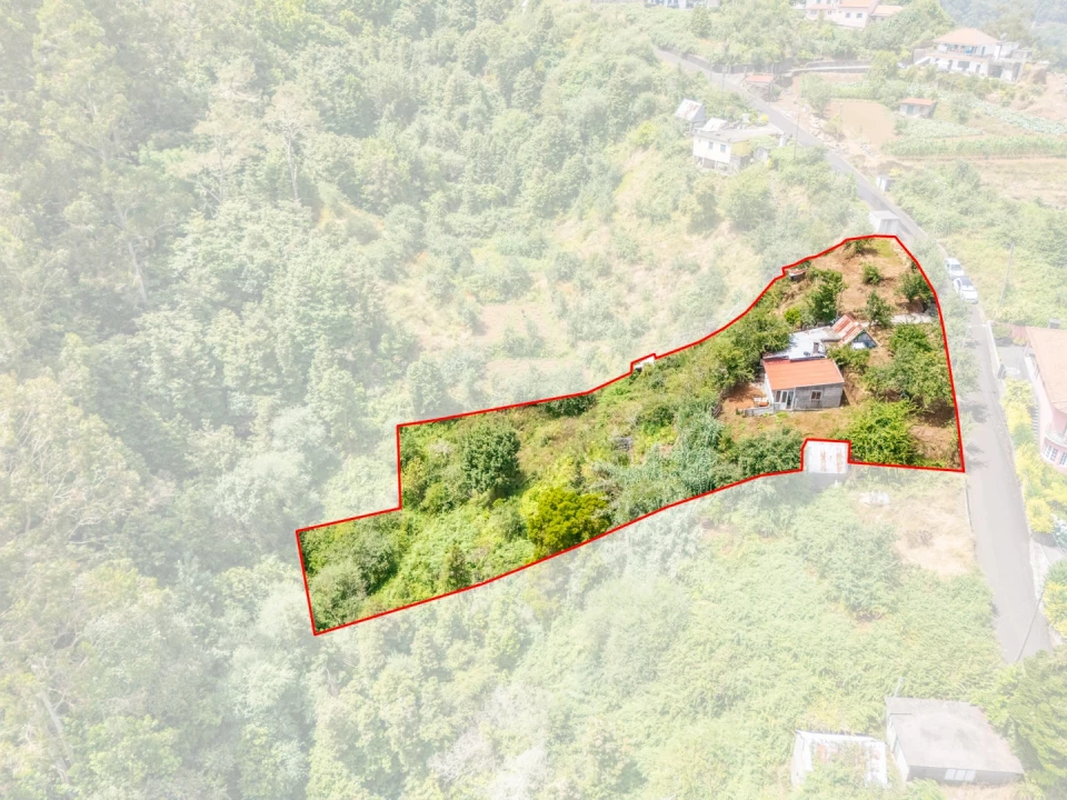 Terreno para Venda em São Roque do Faial Foto 1