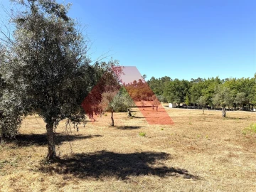 Moradia T3 para Venda em Mouronho
