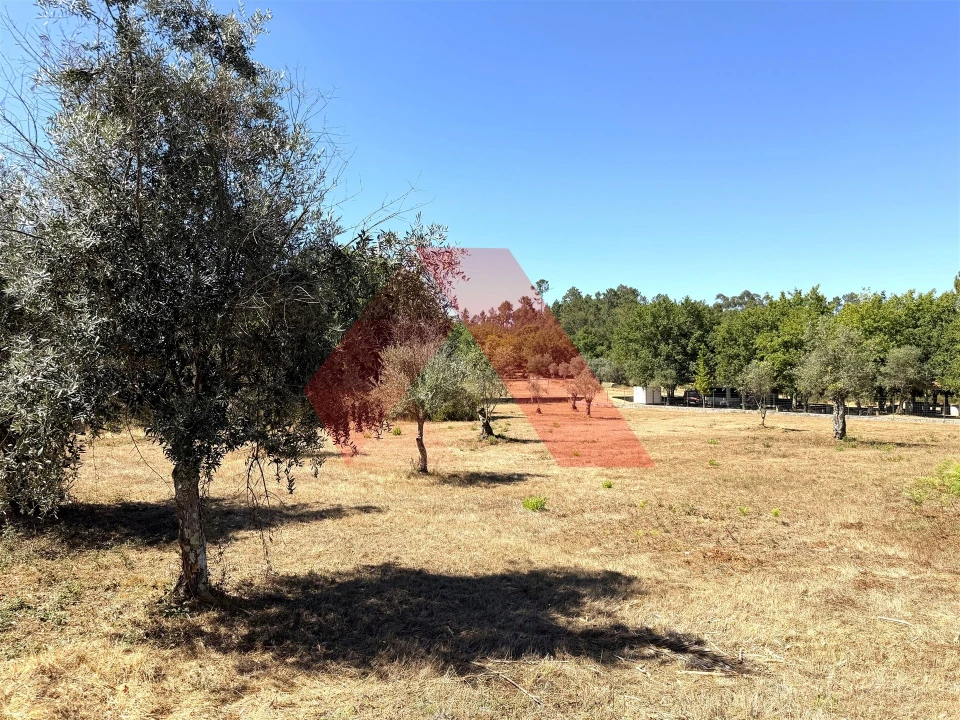 Moradia T3 para Venda em Mouronho Foto 28