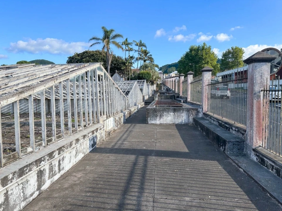 Quinta T10 para Venda em Fajã de Cima Foto 6