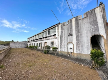 Quinta T10 para Venda em Fajã de Cima