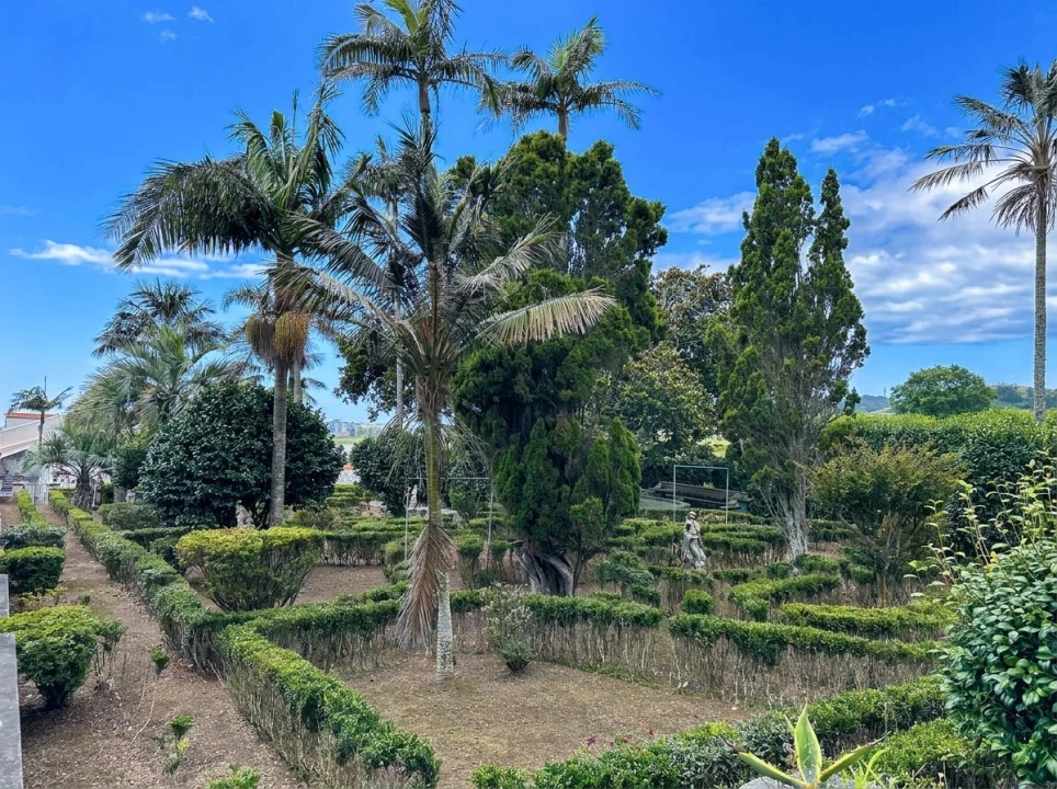 Quinta T10 para Venda em Fajã de Cima Foto 14