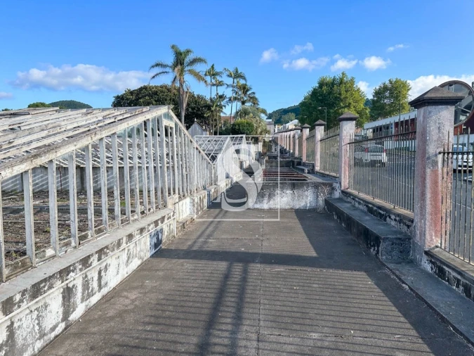 Quinta T10 para Venda em Fajã de Cima Foto 5