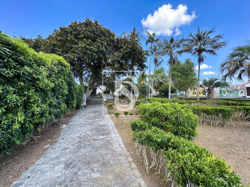 Quinta T10 para Venda em Fajã de Cima Foto 8