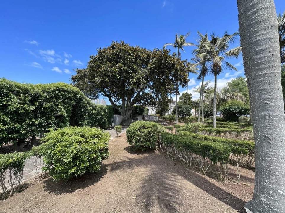 Quinta T10 para Venda em Fajã de Cima Foto 13