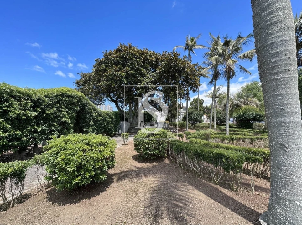 Quinta T10 para Venda em Fajã de Cima Foto 12
